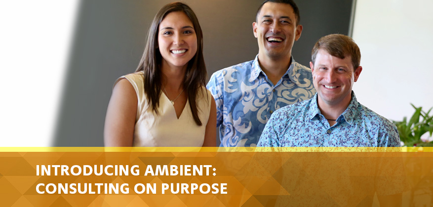 Introducing Ambient: Consulting on Purpose